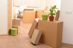 mover fort myers fl
